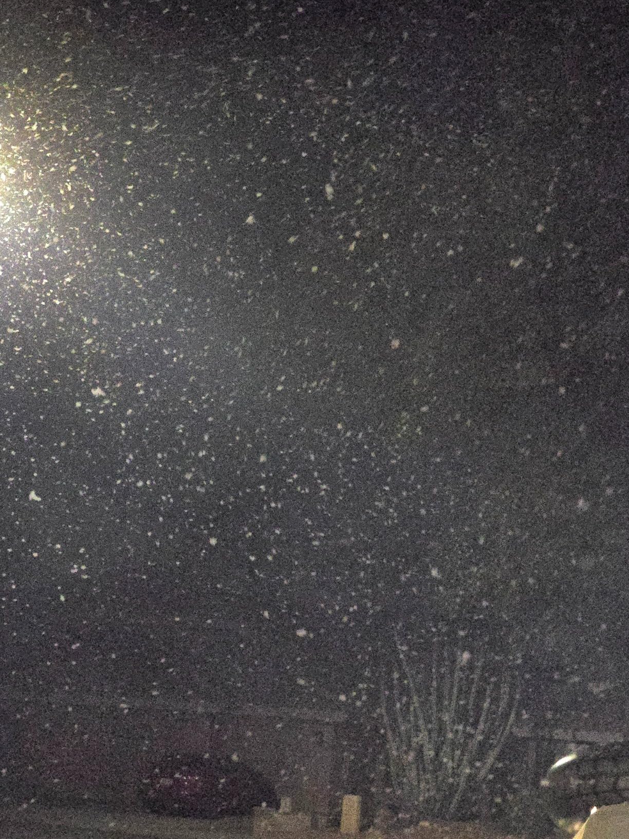 Froggy's Fog Pro Snow Machine, Model Snow Making Machine with Wireless Control and Completely Variable Output Flake Size, High Strength ABS Construction customer photo 1