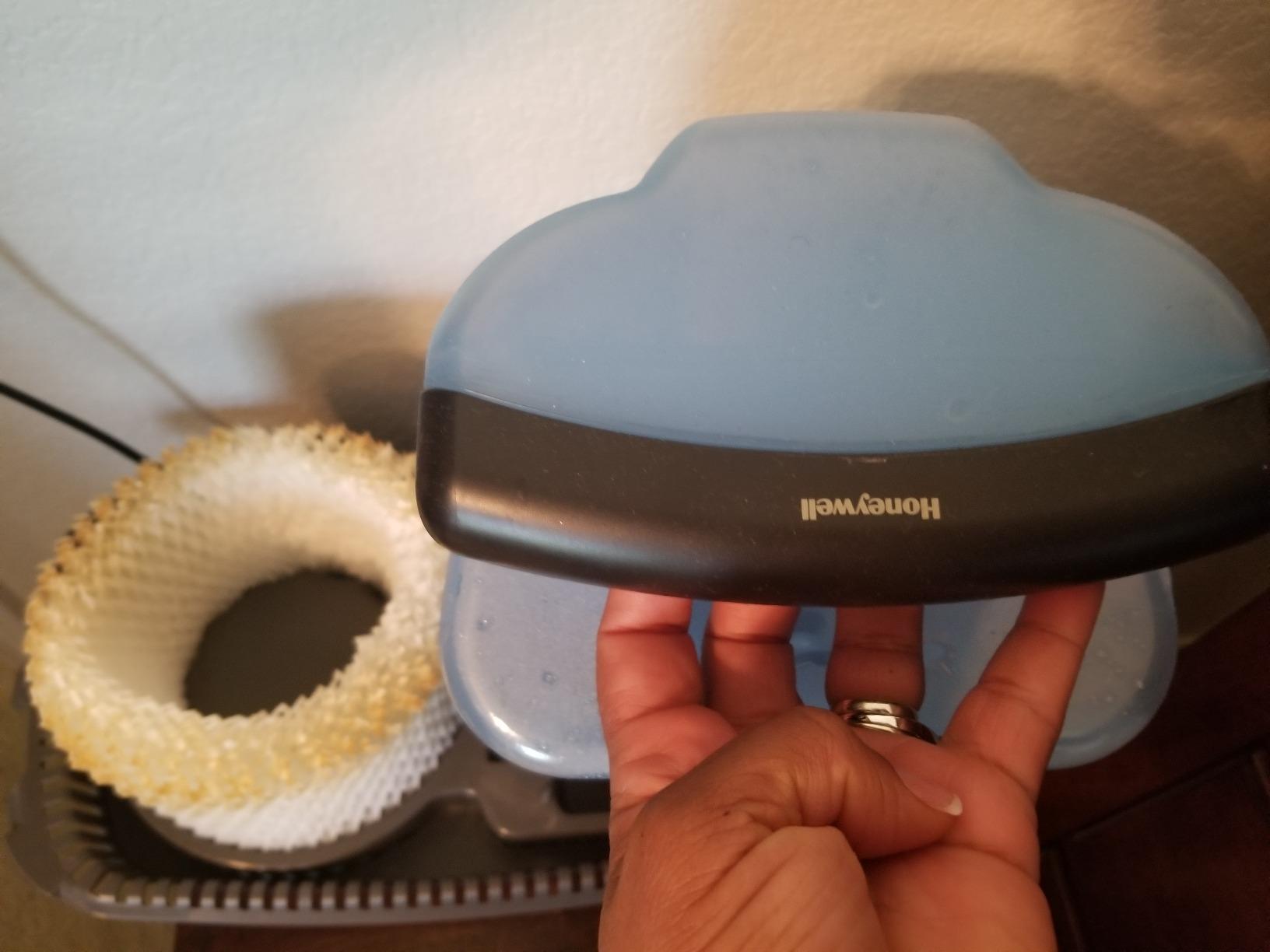 Honeywell Cool Moisture Humidifier, Medium Rooms, 1.1 Gallon, Invisible Moisture Humidifier for Baby, Kids, Quiet, Easy to Clean, UV Technology, Black, HCM350B customer photo 1