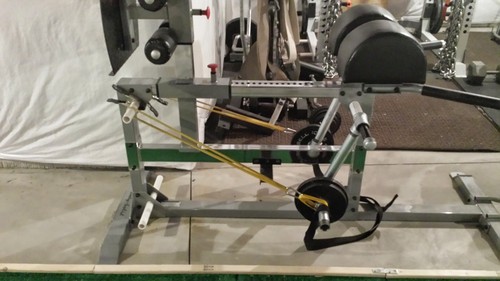 Body-Solid SGH500B Glute and Hamstring Machine for Weight Training, Home and Commercial Gym - Versatile Lower Body Gym Equipment for Strength Training customer photo 1