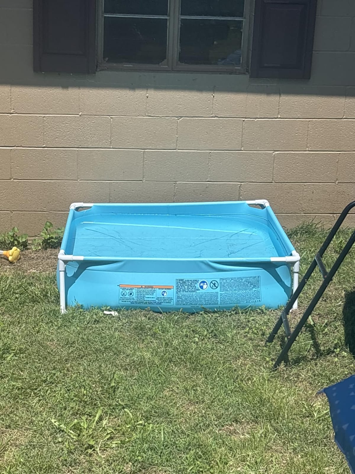 INTEX Kiddie Pool 4ftx 12in Metal Frame for Baby Water Play | 57173EP - Above Ground Swimming Pool with Soft Foam Padding for Kids Ages 2 and Up customer photo 2