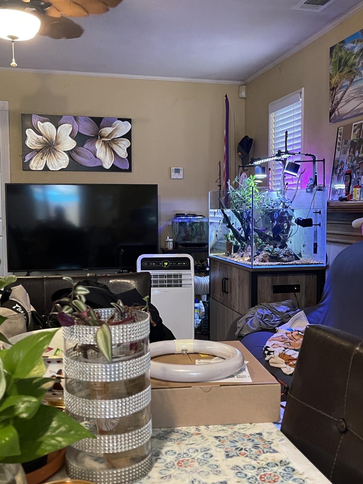 LANDEN Aquarium 90P 44 Gallon Ultra Clear Glass Rimless Fish Tank customer photo 2