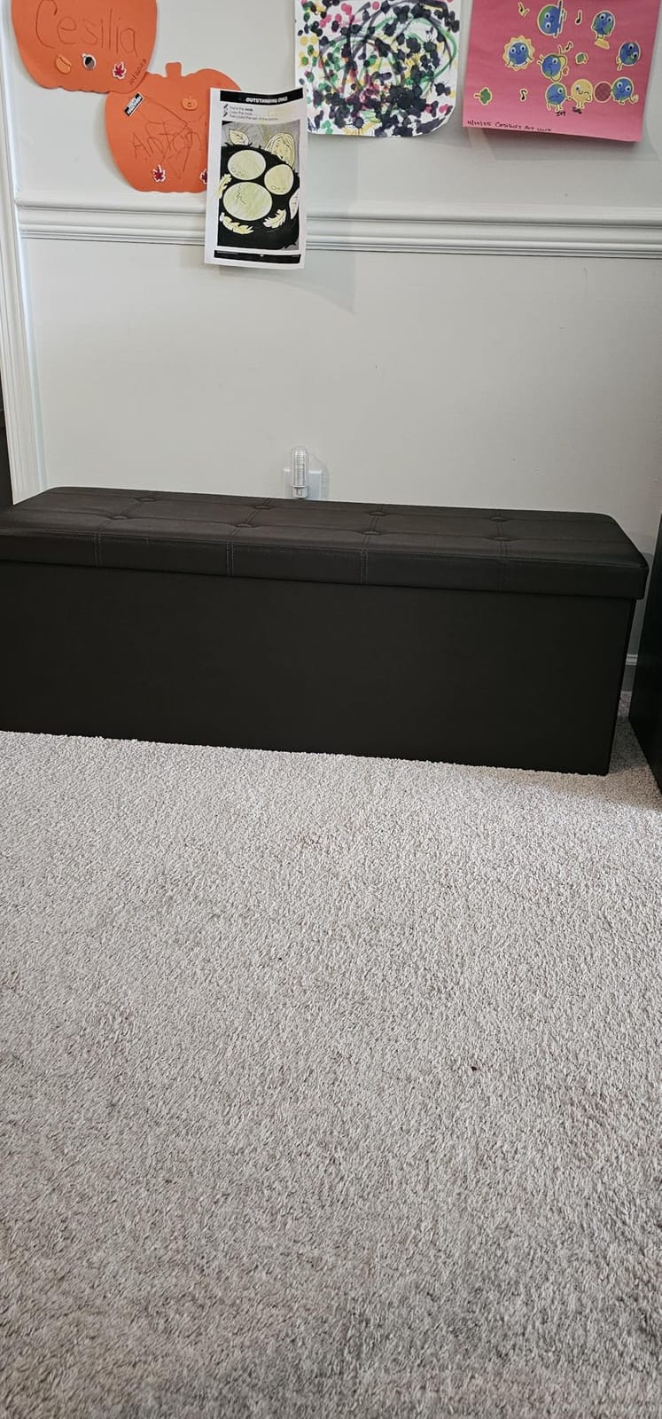 SONGMICS MAZIE Collection - 43 Inches Folding Storage Ottoman Bench, Ottoman with Storage, Foot Rest Stool, Load 660 lb, for Living Room, Synthetic Leather, Black ULSF701 customer photo 2