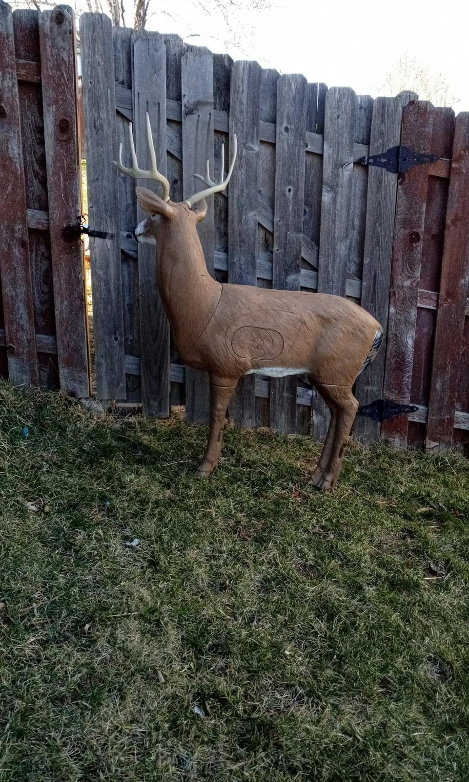Delta 51490 Bloodline Buck, X-Large 3D Archery Target customer photo 2
