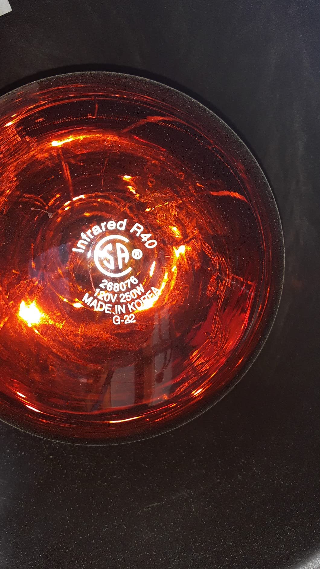 Premier 1 “Prima” Heat Lamp® customer photo 1