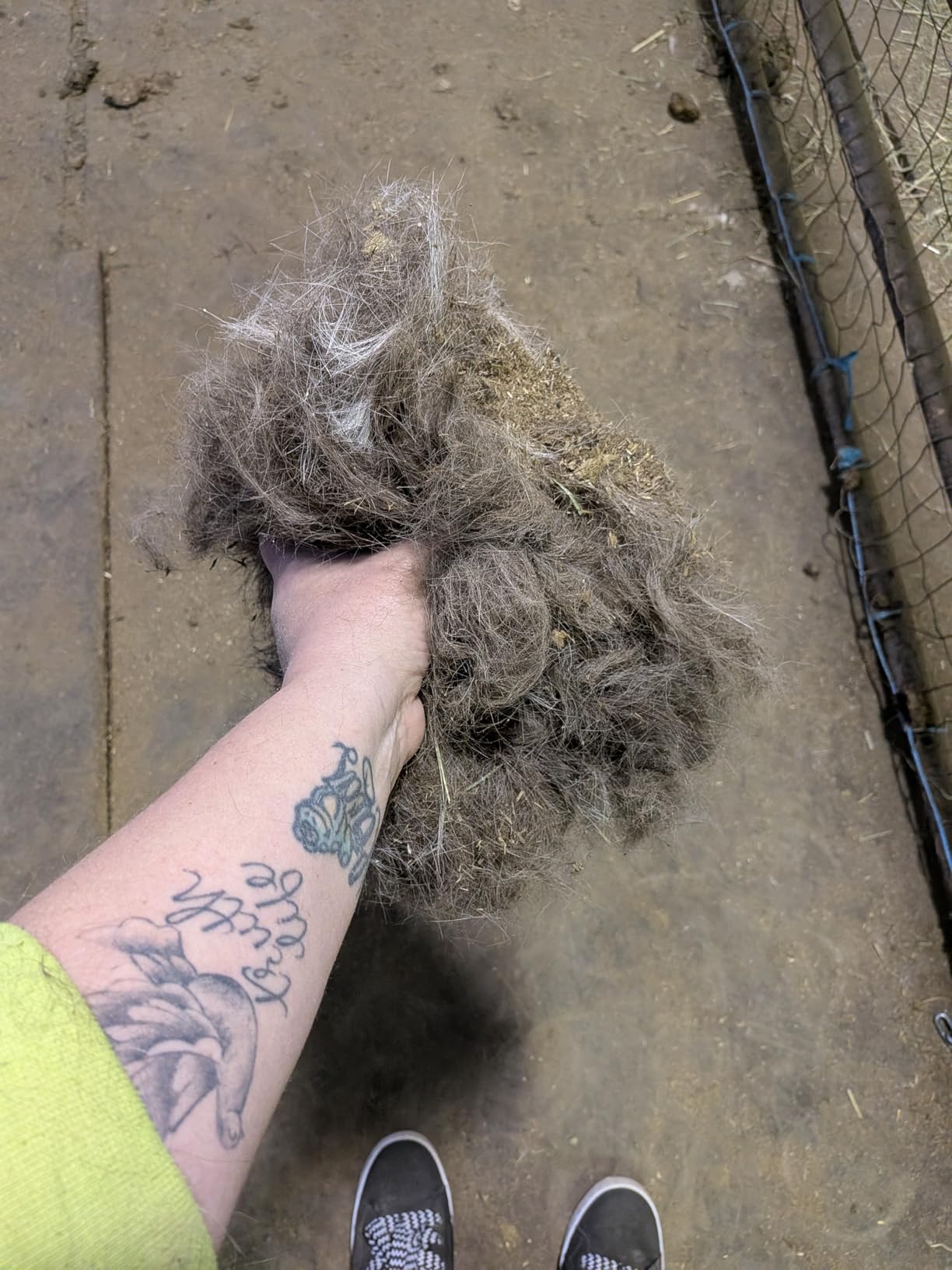SleekEZ 10 Inch Horse Brush - Patented Horse Shedding Blade Made in USA - Removes Loose Hair & Undercoat - Deshedding Tool for Donkeys, Cows & Large Animals - Helps Reduce Seasonal Shedding customer photo 1