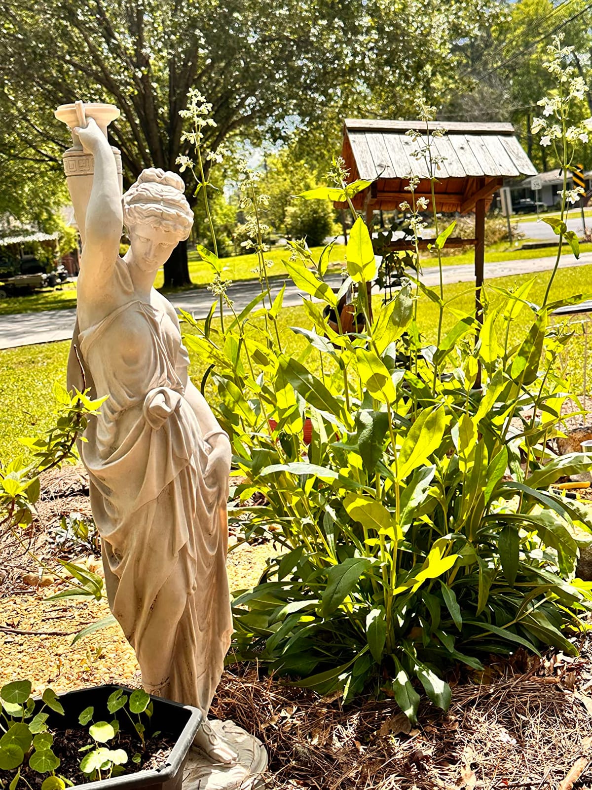 Design Toscano Dione the Divine Greek Water Woman Indoor/Outdoor Garden Statue, Grande, 38 inches tall, Cast Stone Resin, Antique Stone Finish customer photo 2