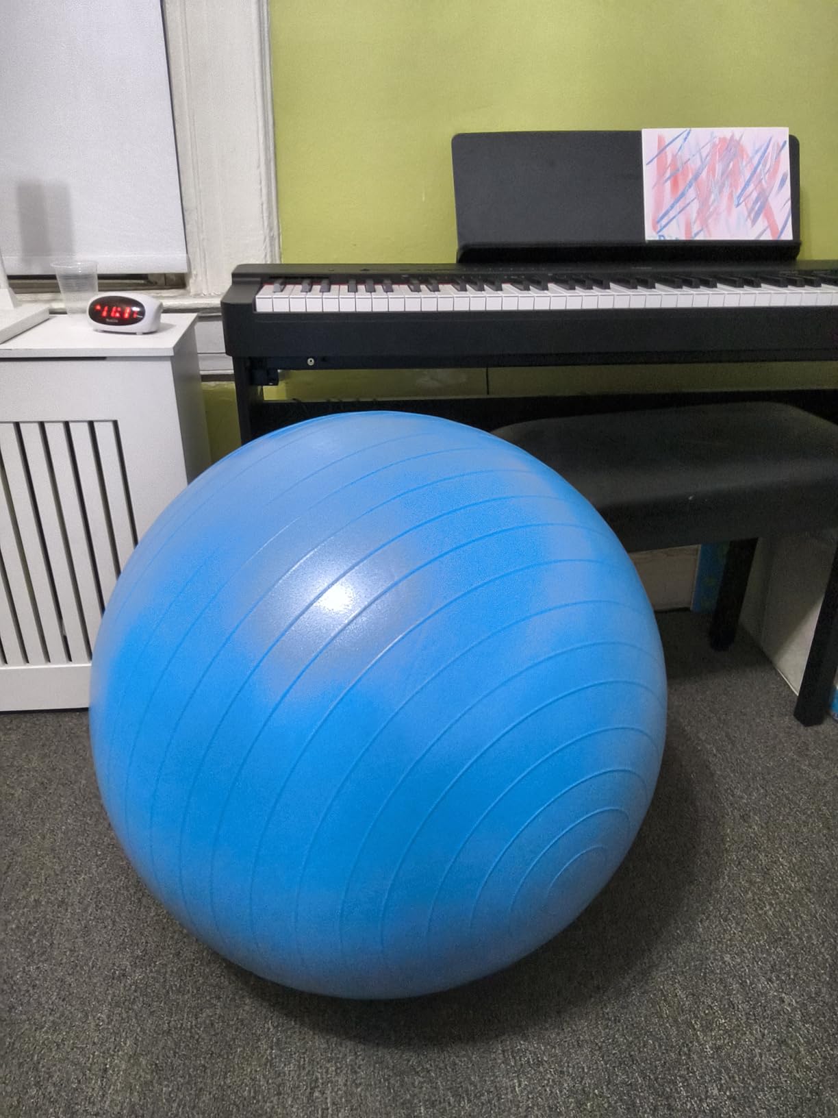 ProBody Pilates Yoga Ball - Gym Grade Exercise Ball | Sizes 45/55/65/75/85 cm, 880 lb Load, CA 10P Cert, PT & Prenatal Use, Recommended by OBs, Pump customer photo 1