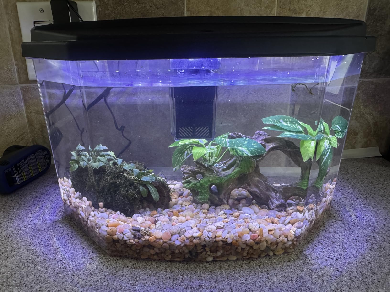 Koller Products 6.5-Gallon Aquarium Kit with Power Filter and LED Lighting, (AP650) customer photo 1