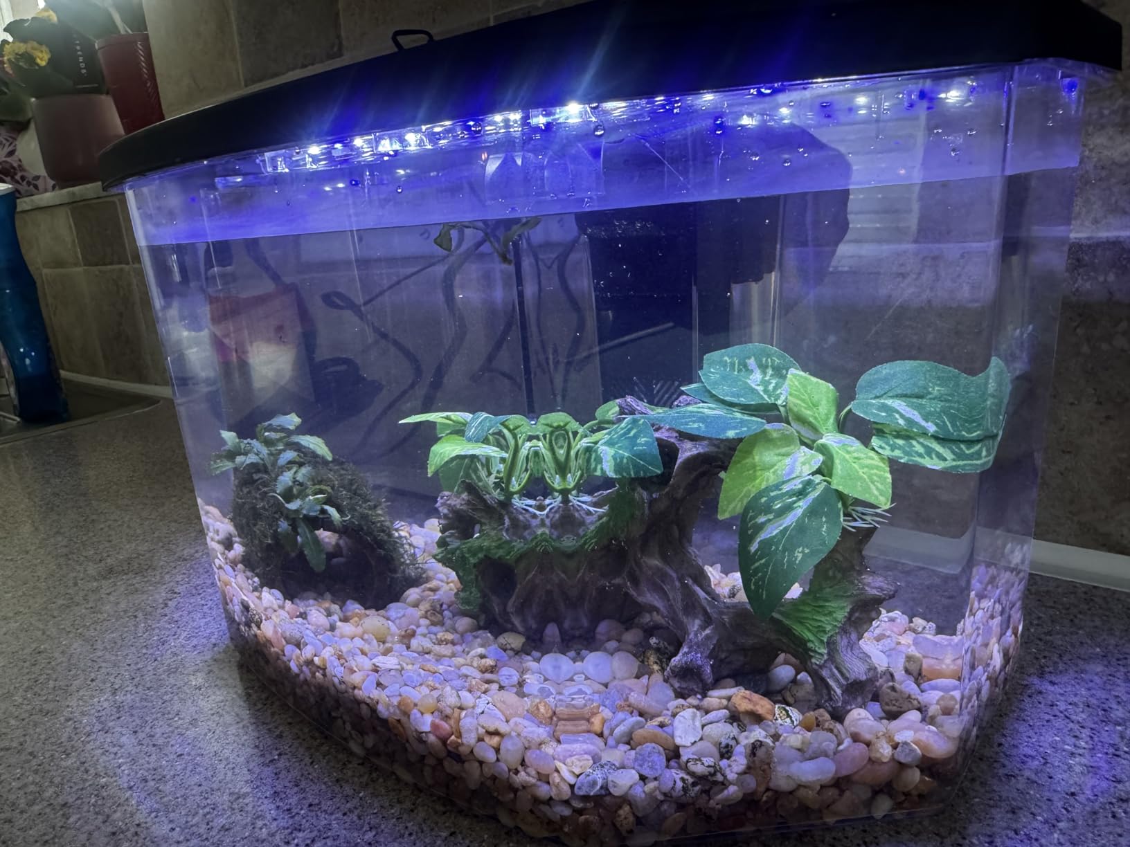 Koller Products 6.5-Gallon Aquarium Kit with Power Filter and LED Lighting, (AP650) customer photo 2