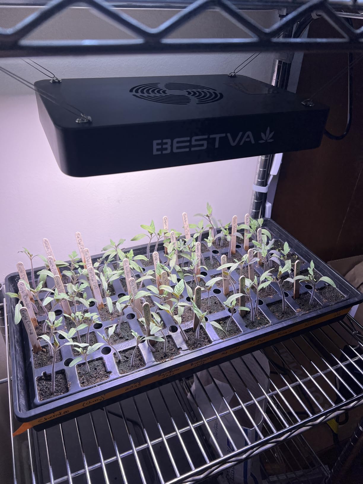 BESTVA DC1000 LED Grow Light, Full Spectrum 100W LED Plants Light with Veg & Bloom Mode for Indoor Plants, Fits 2x2 Grow Tent customer photo 2
