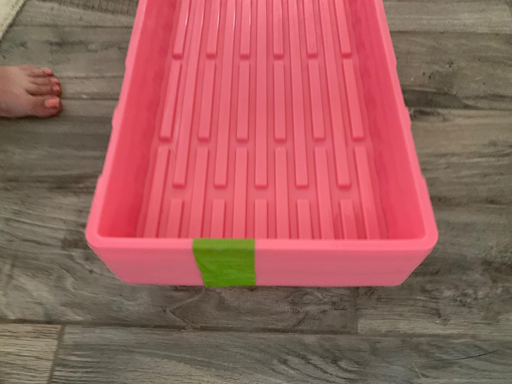 Bootstrap Farmer 1020 Trays (10-Pack), Heavy Duty No-Hole Flats for Microgreens, Fodder & Seedling Propagation - 1.8mm Thick Reusable Plastic customer photo 1