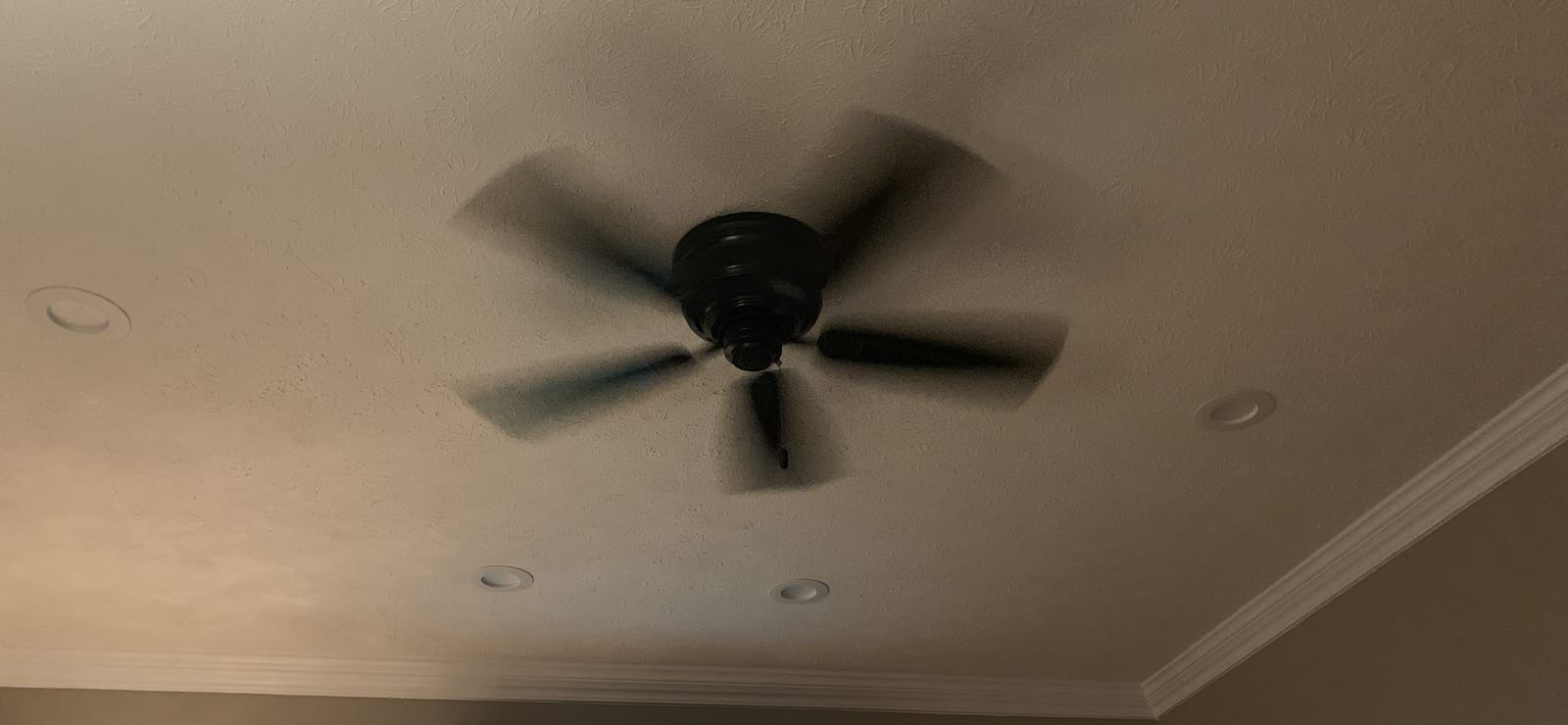 Hunter Sea Wind, Outdoor or Indoor, Ceiling Fan, No Light, 48 inch, White | Standard Mount, Pull Chain, 5 Blades, For Living Room, Patio, Porch, Garage, 53350 customer photo 2