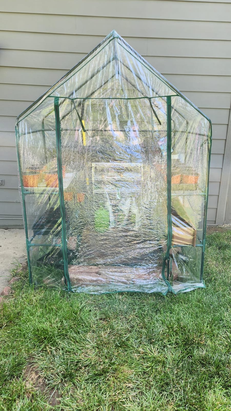 4 Tier Mini Greenhouse - Portable Greenhouse with Locking Wheels and PVC Cover for Indoor or Outdoor Green House by Pure Garden customer photo 1