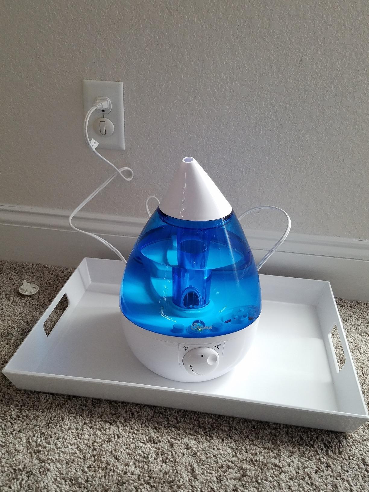 Crane Ultrasonic Cool Mist Humidifier for Bedroom, Baby Nursery, Kids Room, Plants, or Office, Large 1 Gallon Tank, Filter Optional, Clear and White customer photo 1