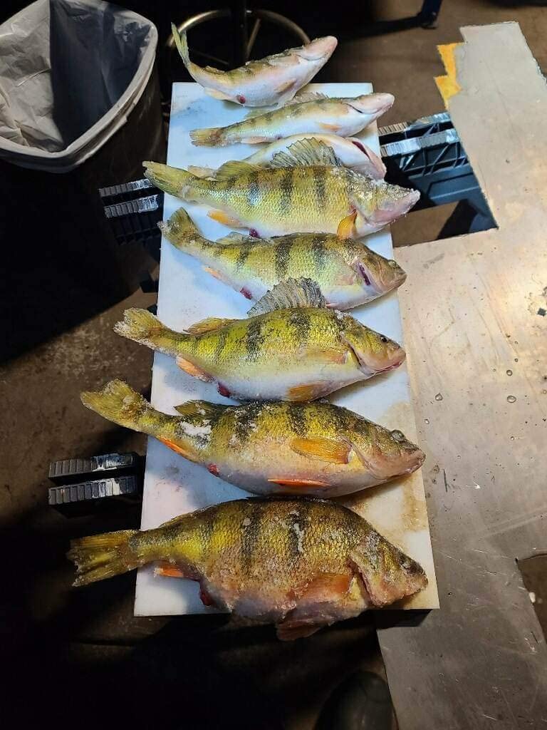 13 Fishing Wicked - Spinning Ice Fishing Combo customer photo 1