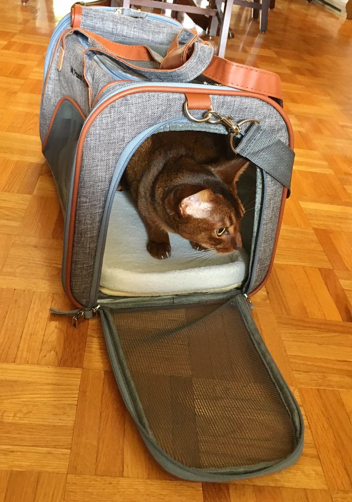 Mr. Peanut's Airline Approved Soft Sided Pet Carrier, Low Profile Gold Series Tote, Premium Brand Self Locking Zippers, Under Seat Compatibility, Plush Faux Fleece Bedding with a Sturdy Plywood Base customer photo 2