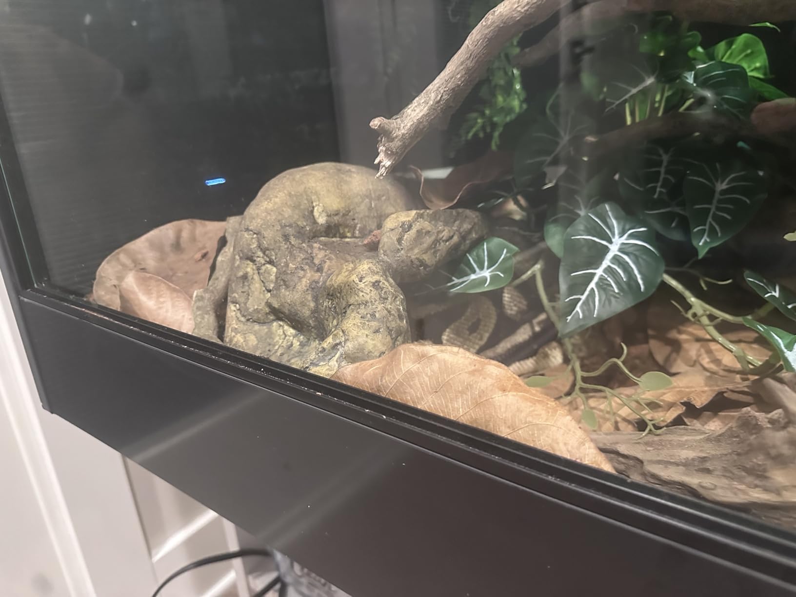 Exo Terra Reptile Den Extra Large customer photo 2