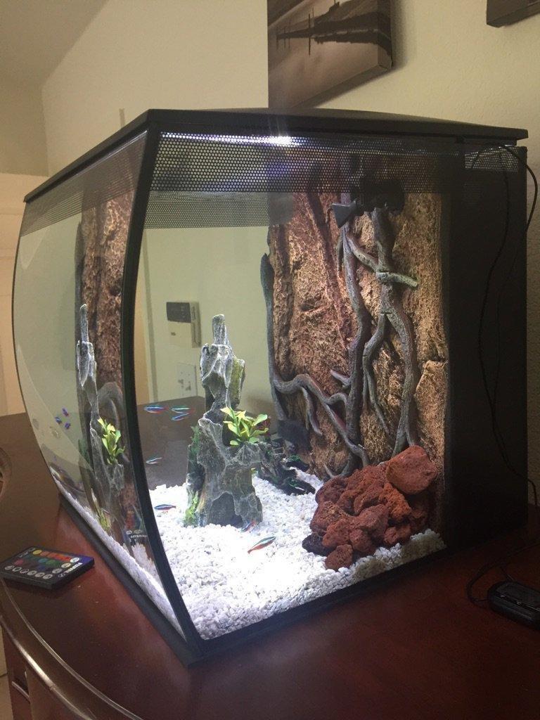 Fluval Flex 57 - 15 Gallon Nano Glass Aquarium Kit customer photo 2