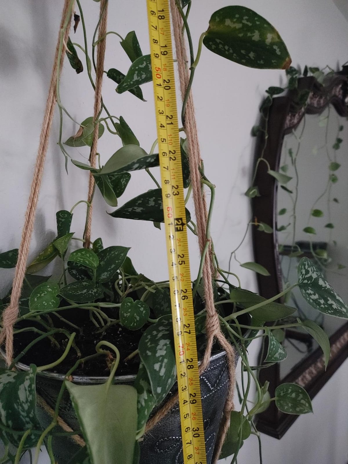 EBOOT 2 Pack 48 Inch Macrame Plant Hanger, Linen Color, 4 Legs customer photo 1