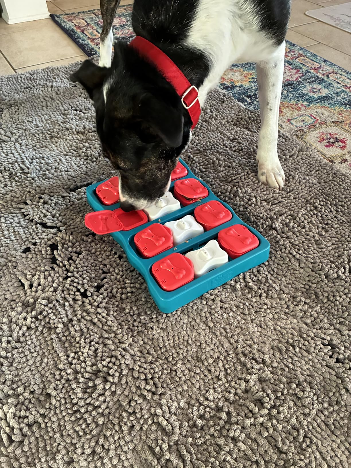 Outward Hound by Nina Ottosson Dog Brick - Interactive Treat Puzzle Enrichment Toy, Level 2 Intermediate customer photo 1