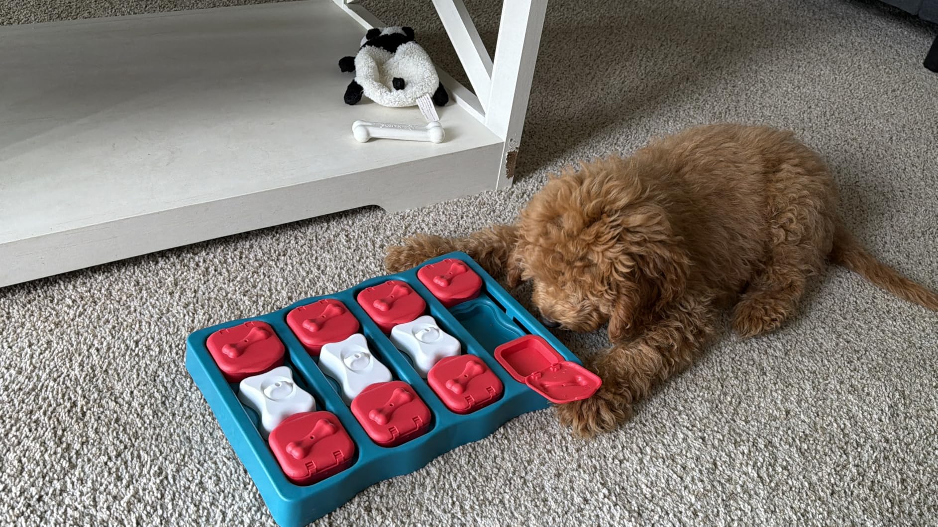 Outward Hound by Nina Ottosson Dog Brick - Interactive Treat Puzzle Enrichment Toy, Level 2 Intermediate customer photo 2