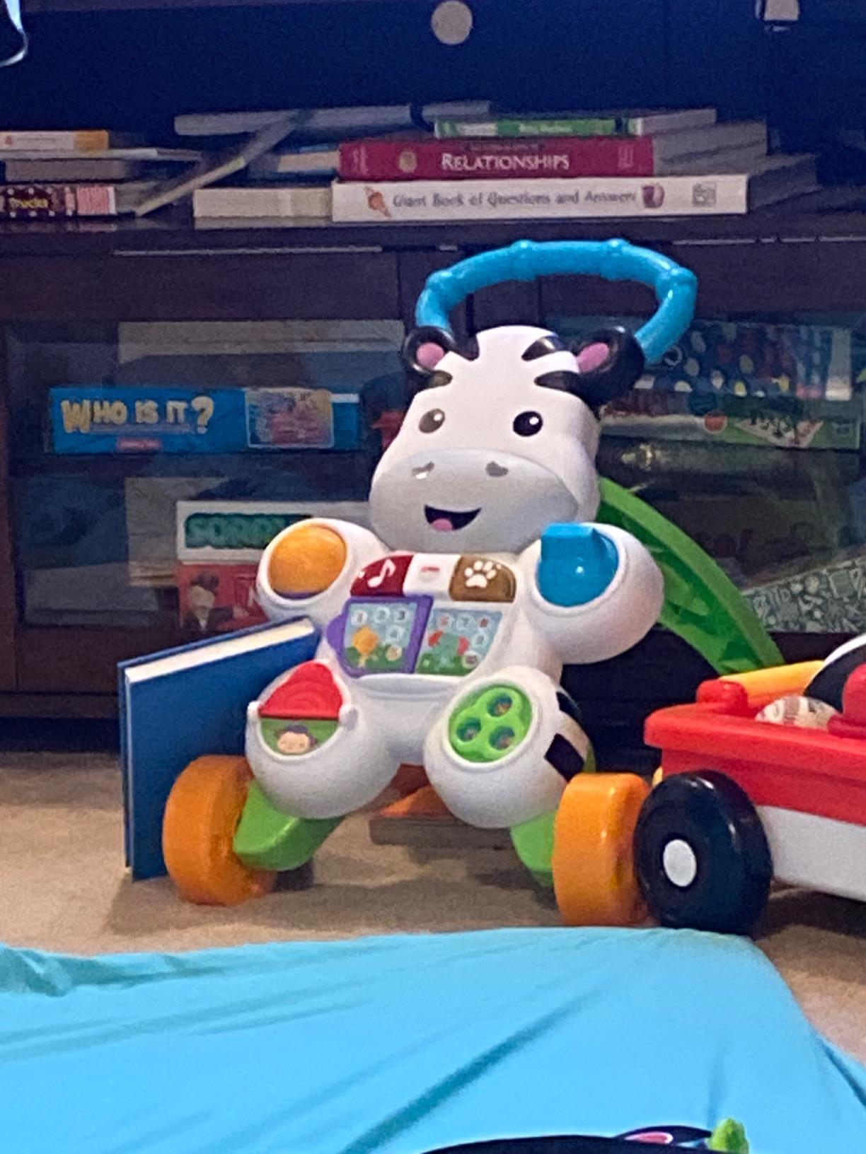 Fisher-Price Learn with Me Zebra Walker Musical Learning Activity with Lights & Fine Motor Play for Infants Ages 6+ Months customer photo 2