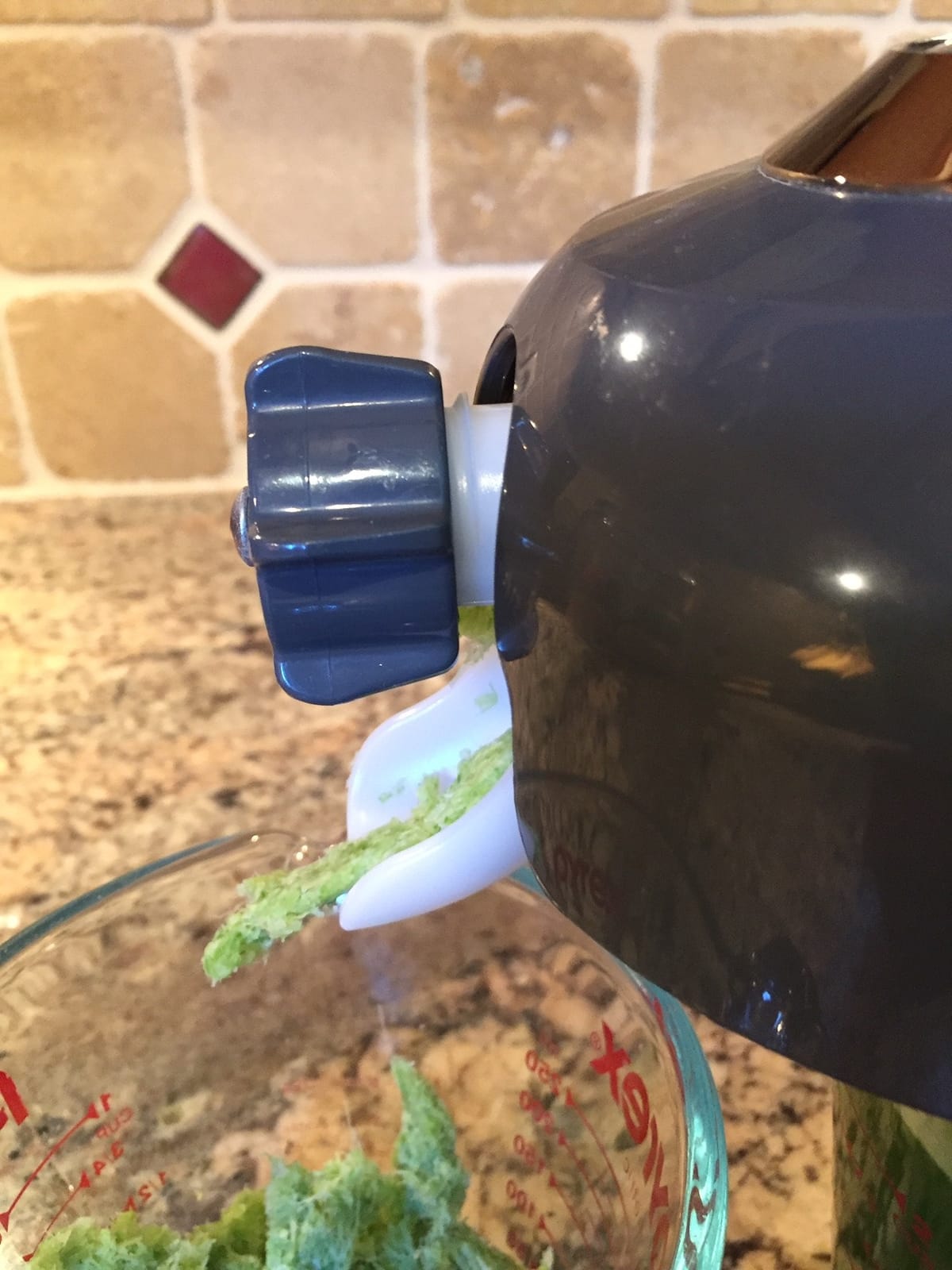 Tribest Greenstar Pro GS-P502-B Pro Jumbo Twin-Gear Cold Press Slow Masticating Juicer (Gray) customer photo 1