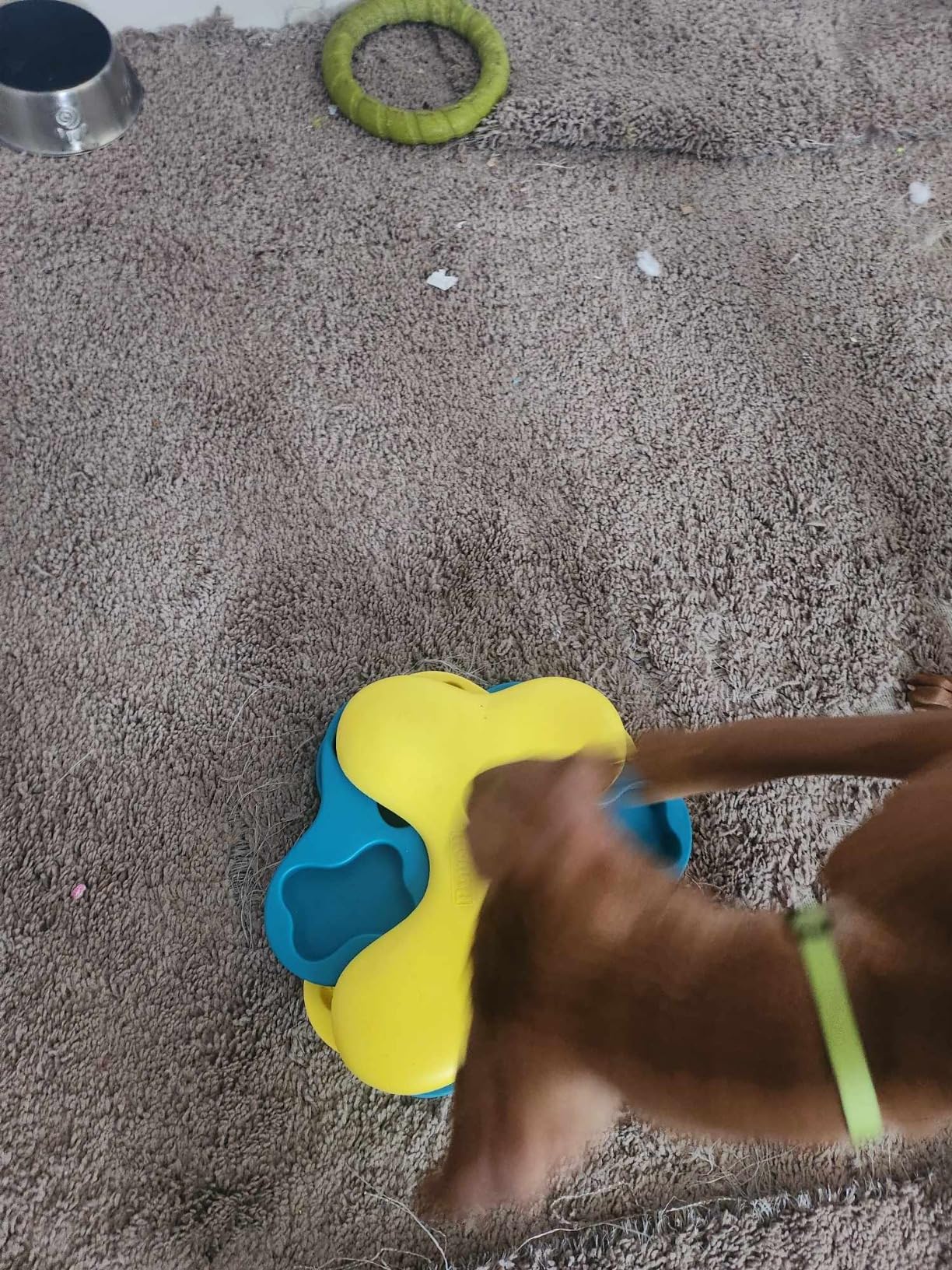 Outward Hound by Nina Ottosson Dog Tornado - Interactive Treat Puzzle Enrichment Toy, 3 Spinning Layers, Level 2 Intermediate customer photo 2