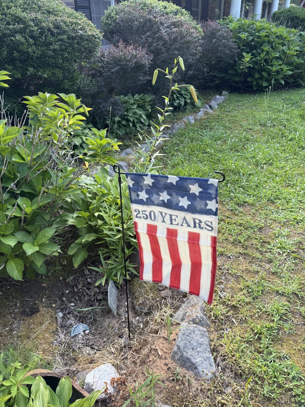 HOOSUN Garden Flag Stand,Premium Garden Flag Holder Pole Metal Powder-Coated Weather-Proof Paint with Graden Flag Clip and Spring Stoppers Without Flag Garden Decorations customer photo 2