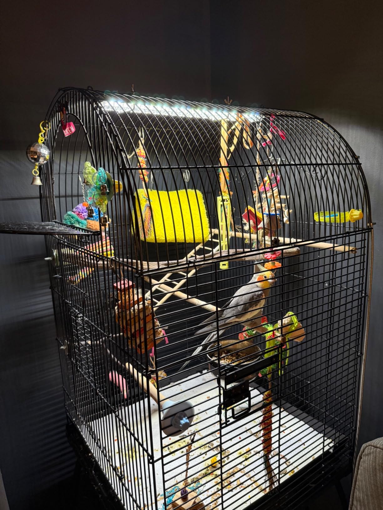 HappyBird Lighting Bird Cage Light with Chew Guard - Full Spectrum LED Pet Light - Simulates Natural Environment - Safe for Hookbill Birds (18 inch Long) customer photo 1