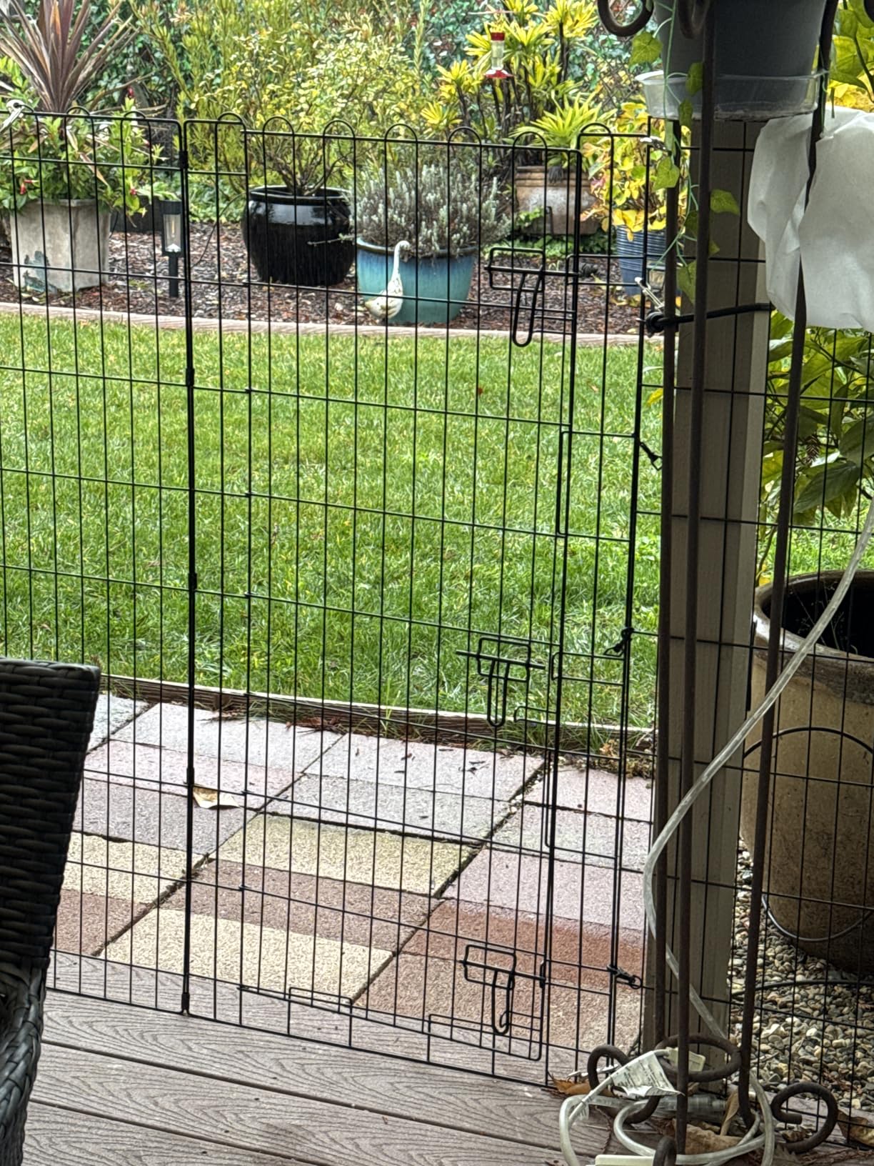 Amazon Basics Foldable Metal Indoor/Outdoor Dog Playpen, Octagonal Exercise Pen, Single Door, 8 Panels, 48 Inch Tall, X-Large, 60 x 60 x 48 Inches, Easy to Assemble, Black customer photo 1