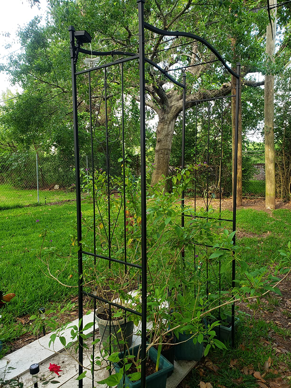 Best Choice Products 92in Steel Garden Arch Arbor Trellis for Outdoor, Yard, Garden, Climbing Plants w/Decorative Wire Lattice - Black customer photo 1