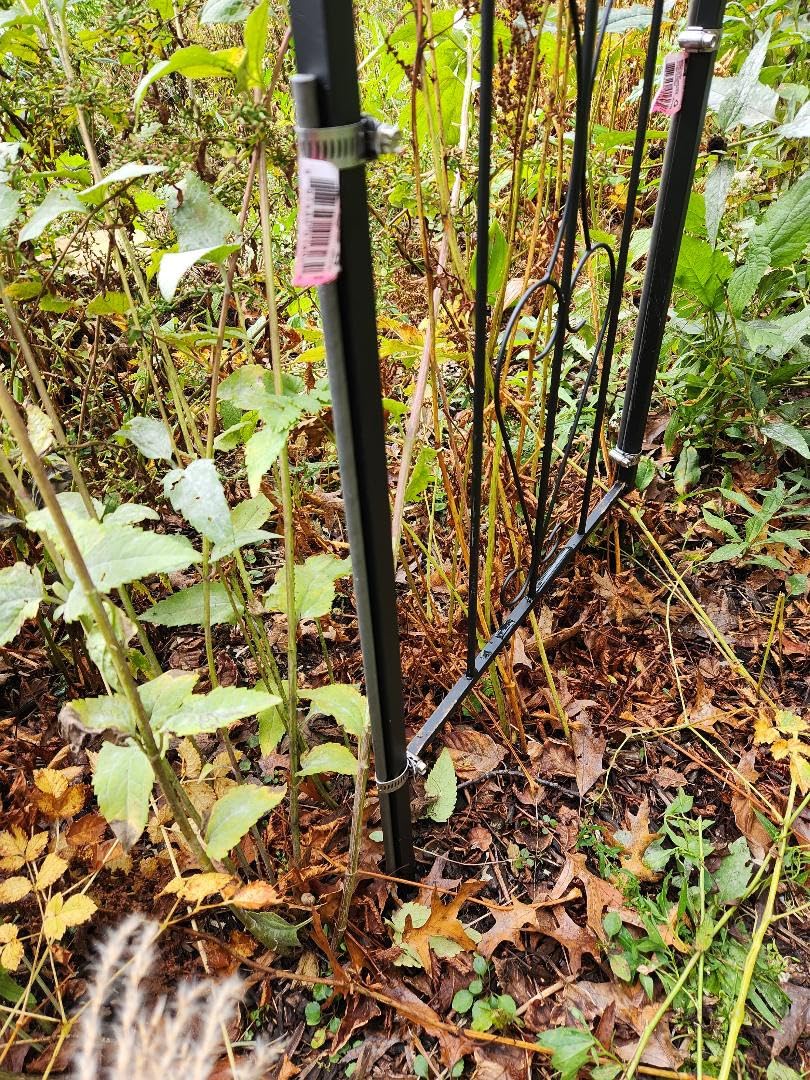 Best Choice Products 92in Steel Garden Arch Arbor Trellis for Outdoor, Yard, Garden, Climbing Plants w/Decorative Wire Lattice - Black customer photo 2