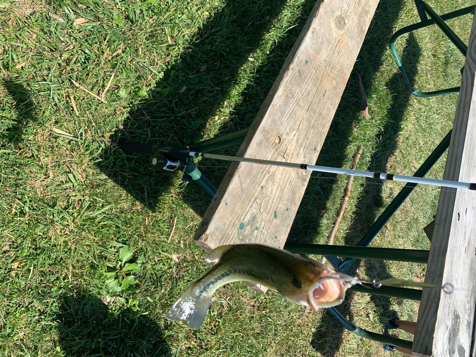 Shakespeare Alpha Medium 6' Low Profile Fishing Rod and Bait Cast Reel Combo (2 Piece) customer photo 2