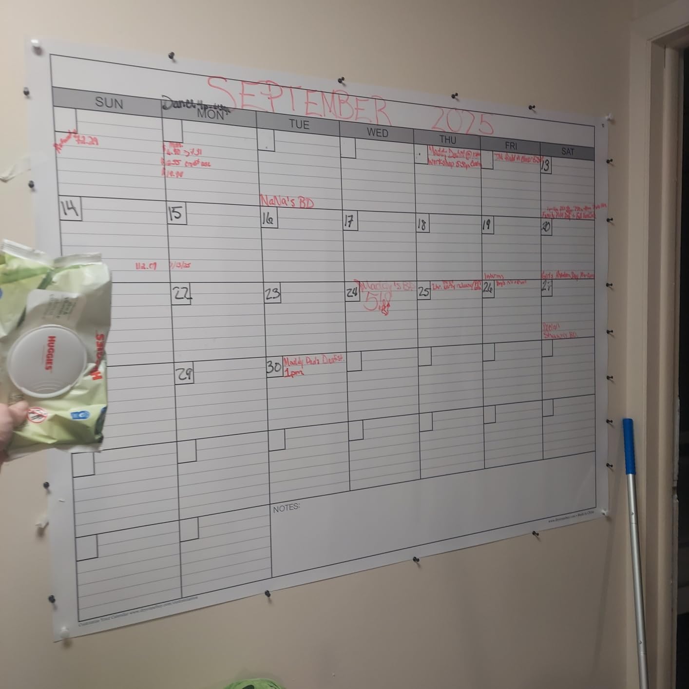 Large Dry Erase Calendar for Wall, 38x50 | Extra Large Huge Erasable One Month Laminated Blank Whiteboard, Oversized Giant 30-Day White Board Poster for Office Family customer photo 1