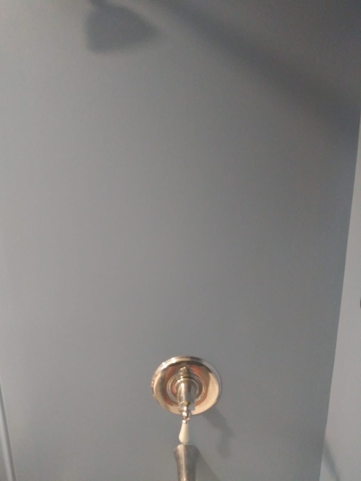 BRIGHT SHOWERS Stainless Steel Grab Bar Set - Includes Handheld Shower Head with Extra Long Hose, Shower Head and Hose Chrome Plated customer photo 1