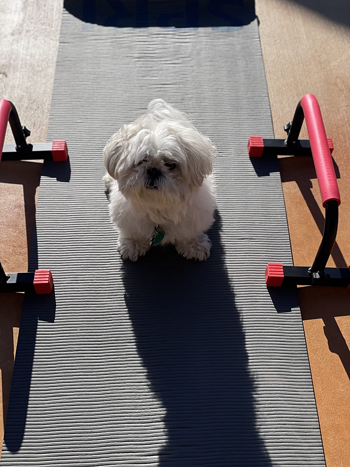 Parallette, Parallel Bars & Dip Station | At Home Gym Workout Equipment, L-Sit Bars & Calisthenics Equipment for Home. Perfect for Push Ups, Dips, Handstands & Gymnastics. customer photo 1