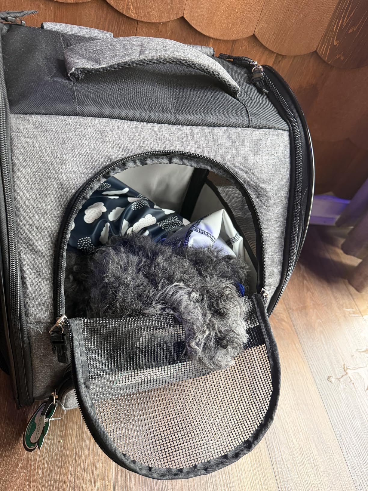 PetAmi Dog Backpack Carrier for Small Medium Dogs Large Cats up to 18 lbs, 2 Side Entry, Structured No-Collapse Frame, Airline Approved Ventilated Pet Backpack for Hiking Camping Travel Vet, Black customer photo 1