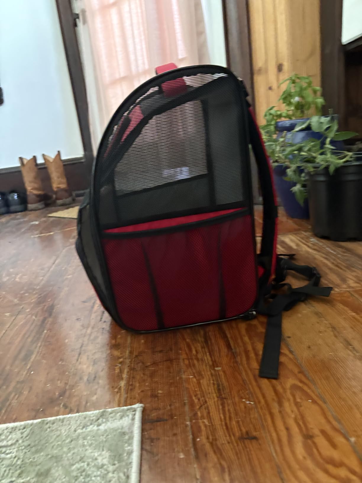 PetAmi Dog Backpack Carrier for Small Medium Dogs Large Cats up to 18 lbs, 2 Side Entry, Structured No-Collapse Frame, Airline Approved Ventilated Pet Backpack for Hiking Camping Travel Vet, Black customer photo 2