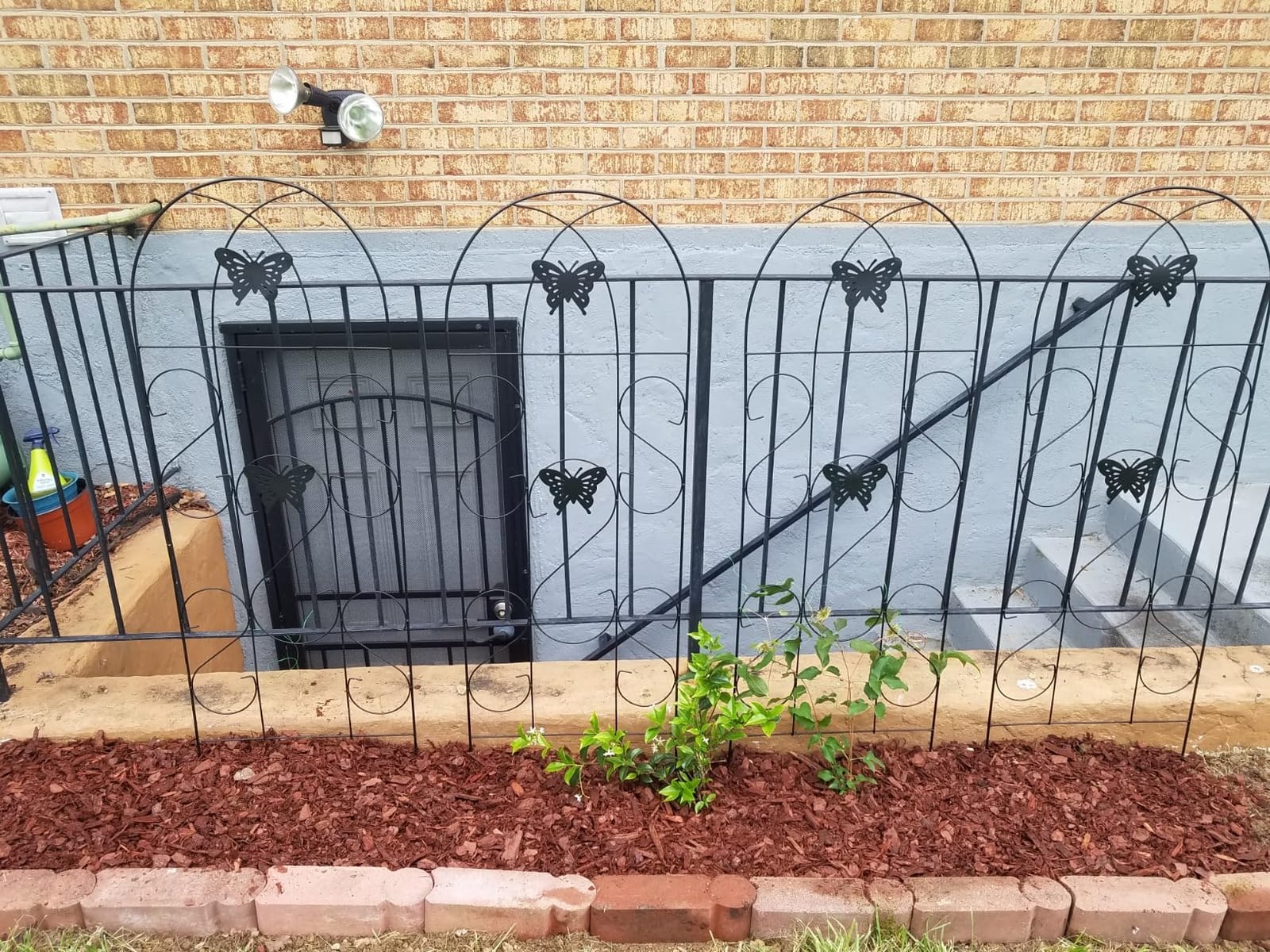 Amagabeli Garden Trellis for Climbing Plants 47” x 16” Rustproof Black Iron Plant Trellis Potted Vines Vegetables Flowers Patio Metal Wire Lattices Grid Panels for Ivy Cucumbers Clematis 2 Pack GT03 customer photo 2