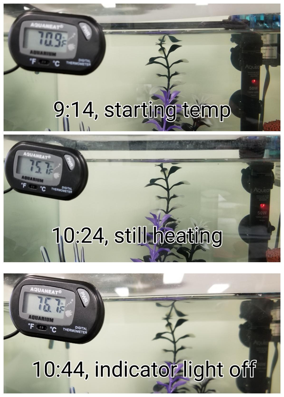 Aqueon Submersible Aquarium Heater, 50 Watts, Up to 20 Gallons customer photo 2