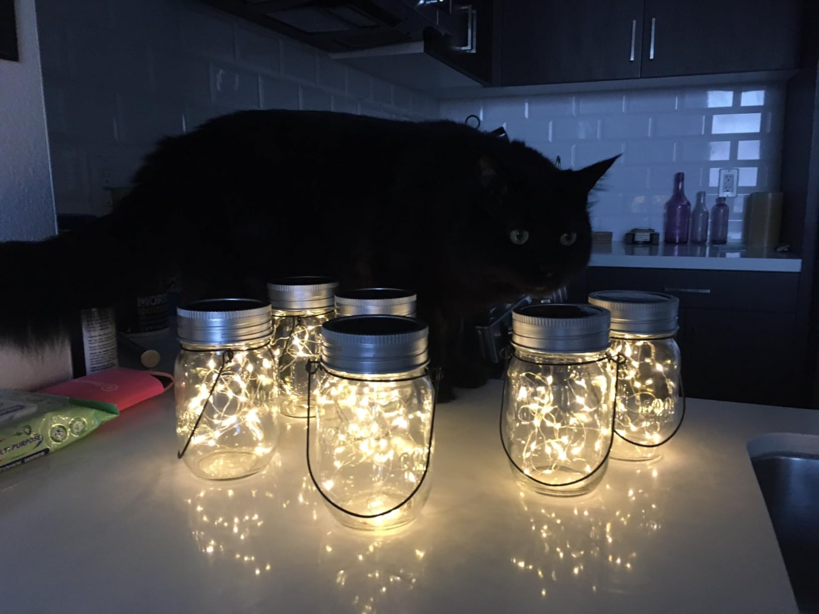 GIGALUMI Hanging Mason Jar Solar Lights, 6 Pack 30 Led Hanging Lantern | Solar Lanterns Outdoor Waterproof, Hangers and Jars Included, Fairy Light Outdoor Decor for Balcony Garden Patio Yard Wedding customer photo 1