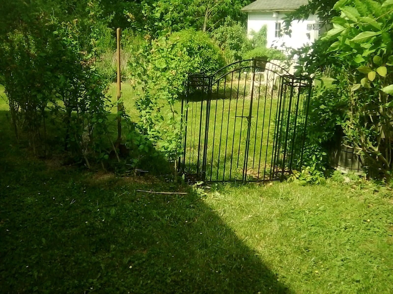 vidaXL Garden Gate 4'x8 x4'5 Wrought Iron Ornamental Outdoor Estate Entryway customer photo 1