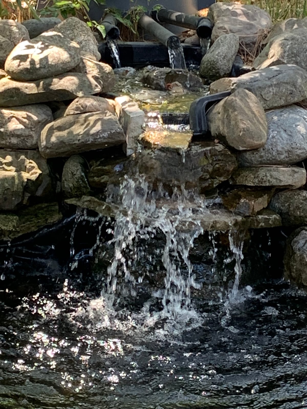 VIVOSUN 2700GPH Sub Water Pump for Pond Waterfall, Statuary, Hydroponics customer photo 1