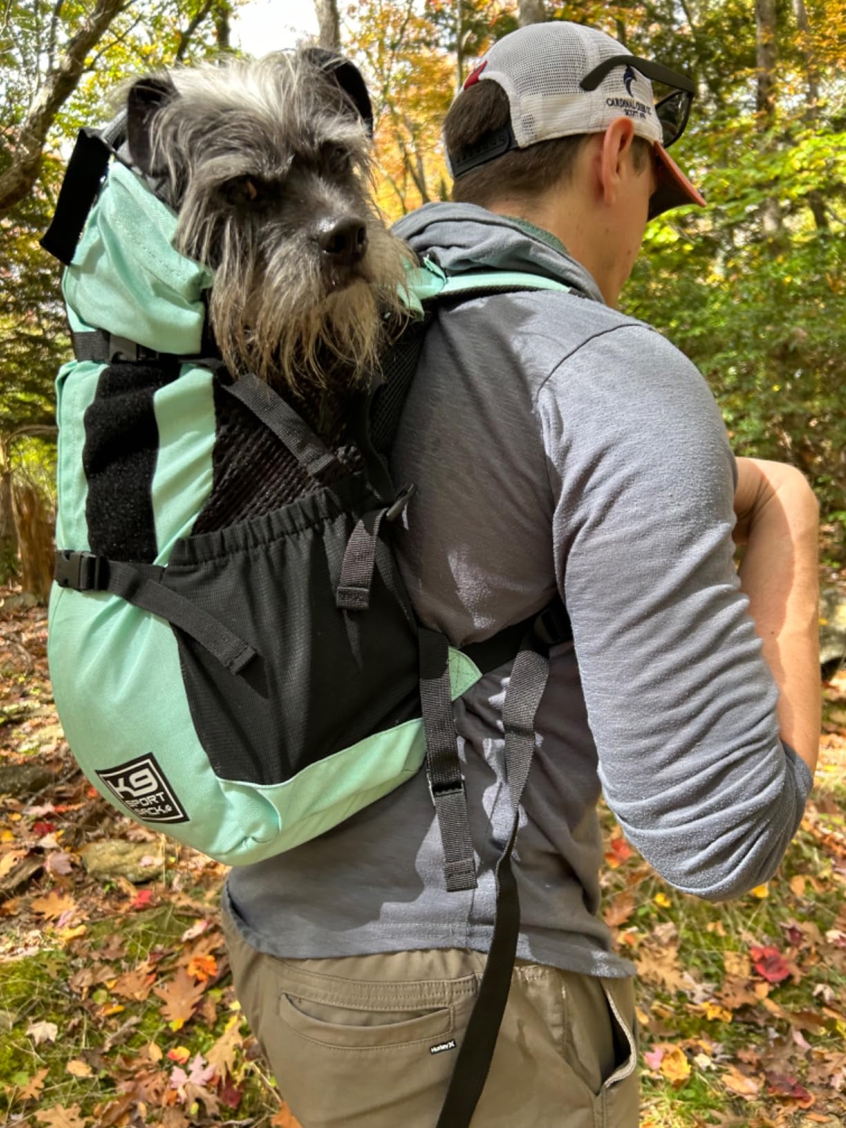 K9 Sport Sack Plus 2 - Large, Summer Mint customer photo 1