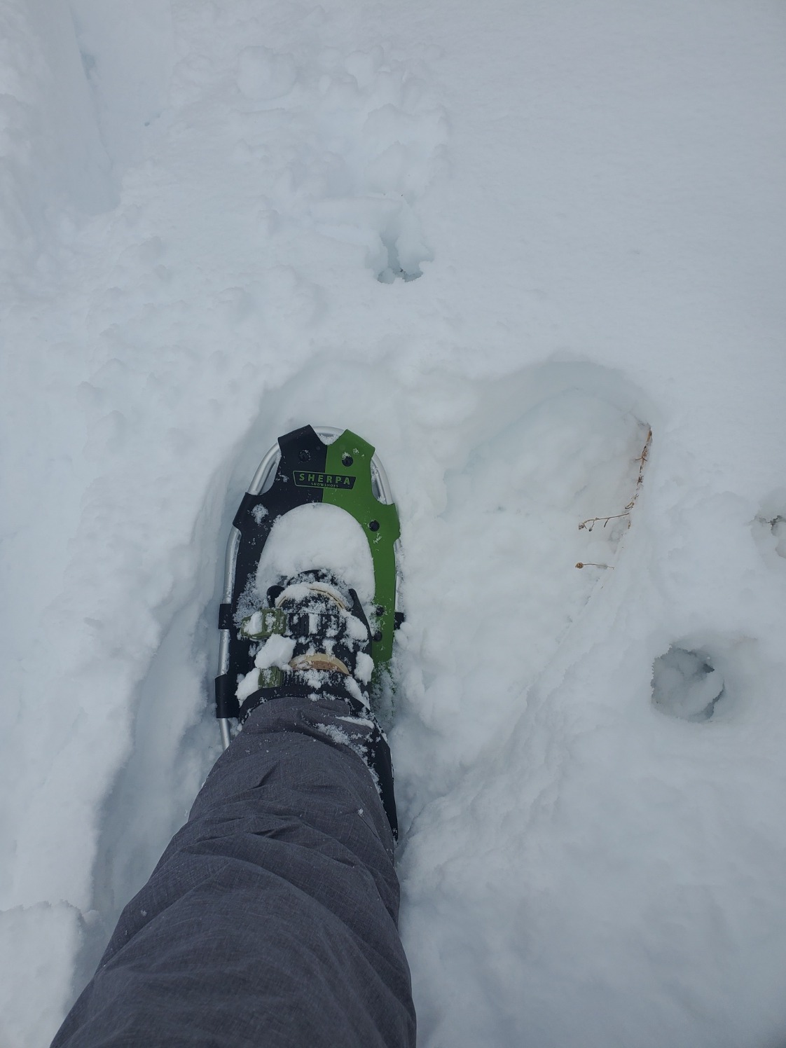 Yukon Charlie's Sherpa Snowshoe, Snowshoes for Men & Women, Snowshoeing Kits for All Skill Levels, Multiple Sizes & Models customer photo 1