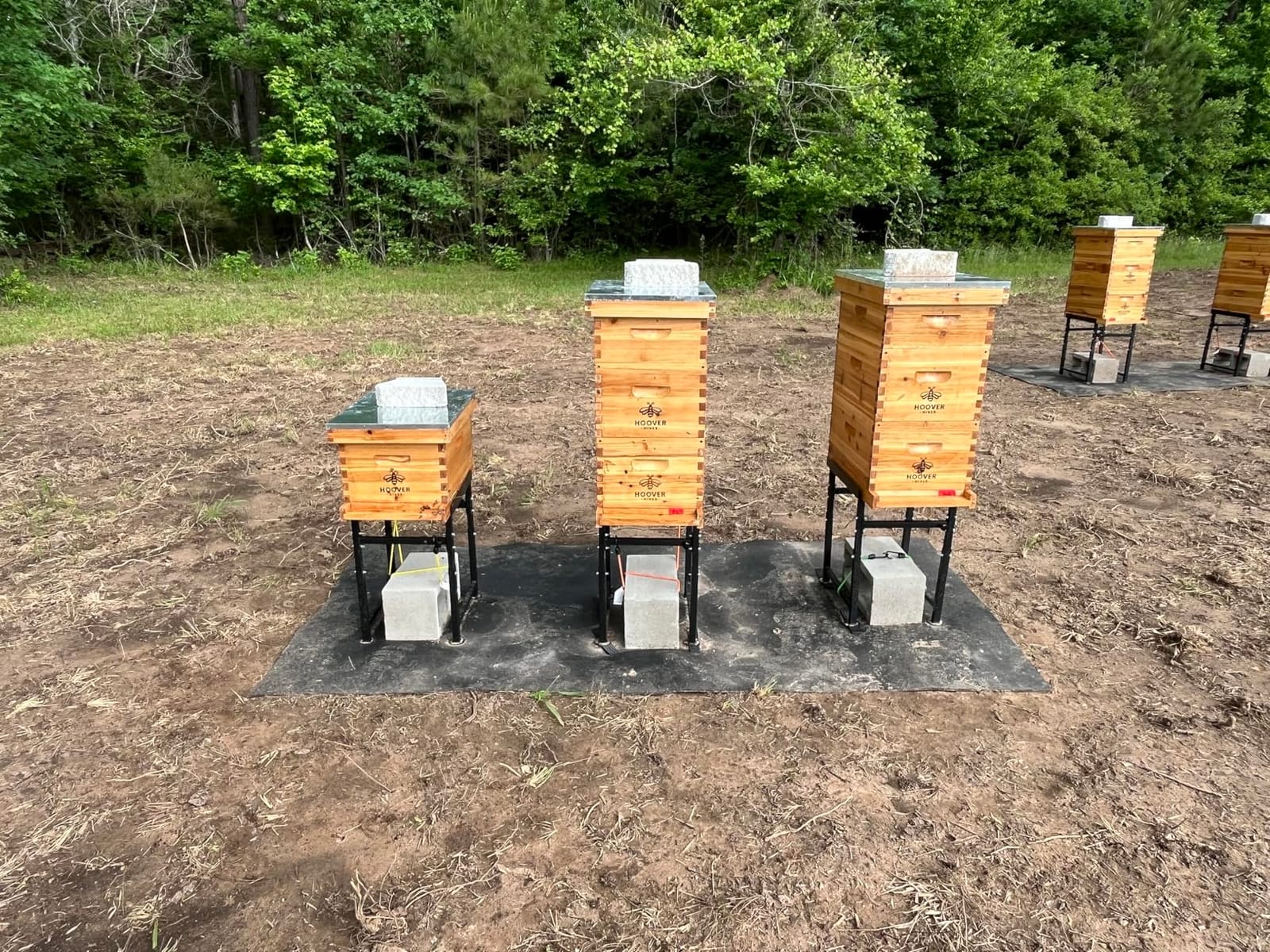 Hoover Hives Complete 8-Frame Beehive Kit - Wax-Coated Fir Wood, Includes 2 Deep Brood Boxes, 1 Medium Super, Langstroth Frames & CellTech Foundations - Durable, Weather-Resistant Beekeeping Supplies customer photo 2