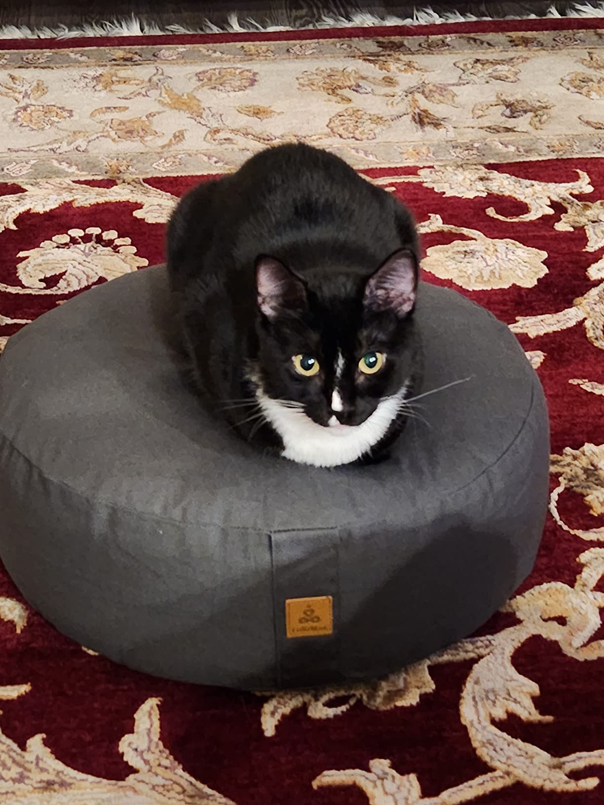 Zafu Buckwheat Meditation Cushion customer photo 2
