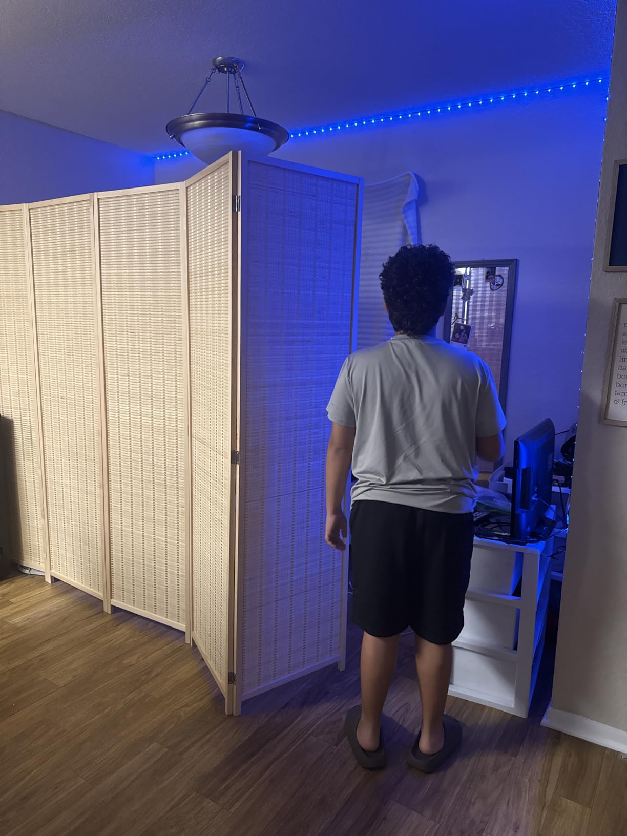 JOSTYLE Room Divider 4 Panel Folding Privacy Screen, Woven Bamboo, Wooden customer photo 1
