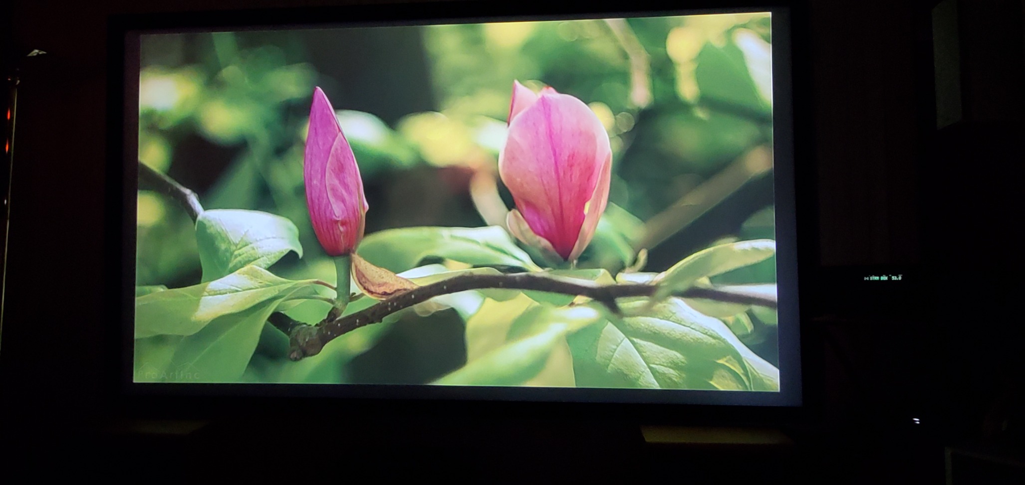 VEVOR Projector Screen 155inch Outdoor Projector Screen 16:9 Movie Screen Fixed Frame 3D Projector Screen for 4K HDTV Movie Theater customer photo 2